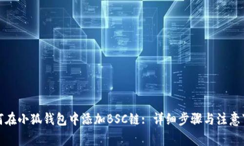 如何在小狐钱包中添加BSC链: 详细步骤与注意事项