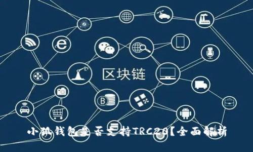 小狐钱包是否支持TRC20？全面解析