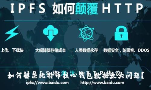 如何解决比特币核心钱包数据太大问题？