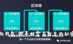 《狐狸的钱包：探寻财富与智慧的秘密之书》