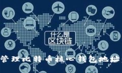 如何安全管理比特币核心