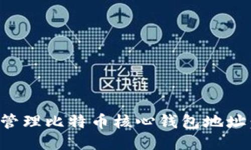 如何安全管理比特币核心钱包地址：新手指南