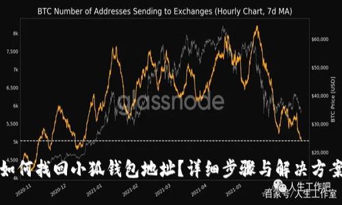 如何找回小狐钱包地址？详细步骤与解决方案