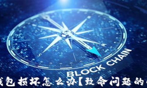 
比特币钱包损坏怎么办？致命问题的解决指南
