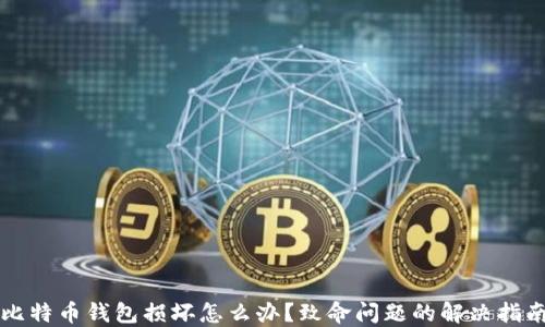 
比特币钱包损坏怎么办？致命问题的解决指南