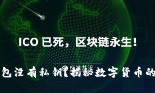 比特币钱包没有私钥？揭秘数字货币的安全秘密
