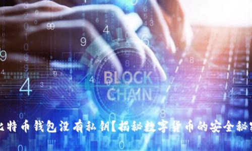 比特币钱包没有私钥？揭秘数字货币的安全秘密