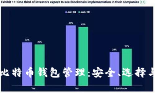 全面解析比特币钱包管理：安全、选择与最佳实践