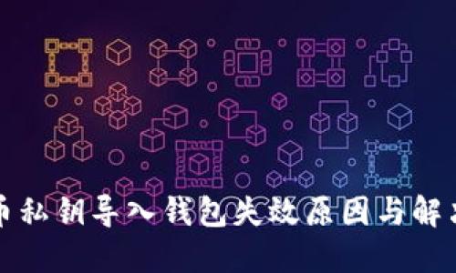 比特币私钥导入钱包失效原因与解决方案