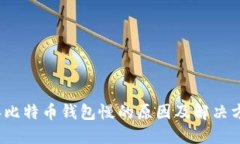 2023年比特币钱包慢的原因