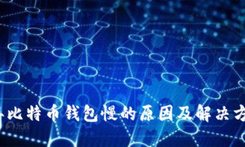 2023年比特币钱包慢的原因及解决方案详解