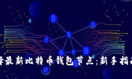 如何选择最新比特币钱包节点：新手指南与技巧