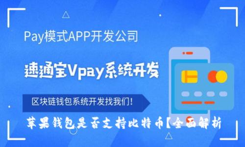 苹果钱包是否支持比特币？全面解析