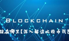 比特币究竟存储在哪里？