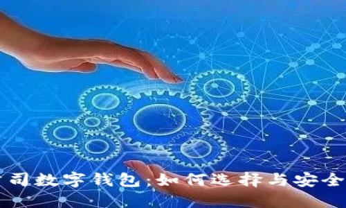 区块链公司数字钱包：如何选择与安全使用指南