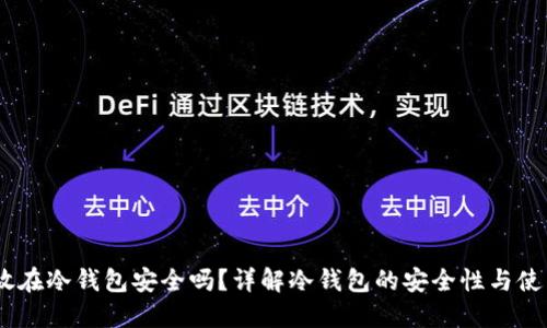USDT放在冷钱包安全吗？详解冷钱包的安全性与使用方法