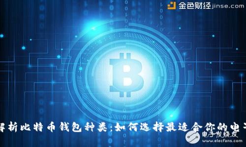 全面解析比特币钱包种类：如何选择最适合你的电子钱包