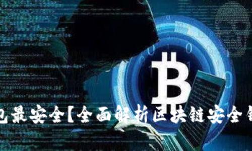什么钱包最安全？全面解析区块链安全钱包选择