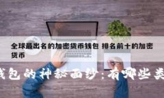 揭开虚拟币钱包的神秘面纱：有哪些类型可供选