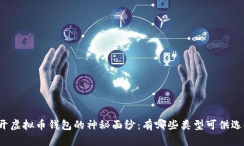 揭开虚拟币钱包的神秘面纱：有哪些类型可供选择？