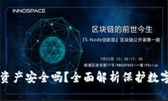 区块链钱包资产安全吗？全面解析保护数字资产