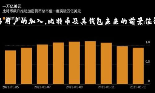 比特币钱包并不是某个国家的钱，它是一种加密货币钱包，用于存储比特币和其他加密资产。比特币作为全球性的数字货币，并没有由任何特定国家发行或控制。因此，比特币钱包可以在全球范围内使用，用户可以在任何地方创建和管理他们的比特币钱包。

### 比特币和钱包的基本概念

比特币（Bitcoin）是一种去中心化的数字货币，首次于2009年发布。它的运作不受任何国家政府或中央银行的影响。比特币钱包则是存储、接收和发送比特币的工具。它们可以是软件程序、硬件设备或纸质格式。

### 比特币钱包的种类

软件钱包与硬件钱包
比特币钱包主要分为两大类：软件钱包和硬件钱包。软件钱包可以安装在个人电脑或手机上，它们的操作简单、方便。然而，由于它们是联网的，因此更容易受到网络攻击。相比之下，硬件钱包是专为安全存储加密货币而设计的，能有效防止黑客攻击，物理设备通常存储在用户手中。

热钱包与冷钱包
根据连接互联网的状态，钱包还可以被分为热钱包和冷钱包。热钱包始终连接到互联网，适合频繁交易；冷钱包则离线保存，适合长时间存储大量比特币。选择哪种类型的钱包，需要根据个人的使用习惯和安全需求。

### 比特币的全球化属性

去中心化与全球性
比特币的设计初衷就是为了创造一种去中心化的交易方式。这意味着无论你身处哪个国家，只要有互联网，就可以使用比特币。这种全球化的属性使得比特币成为了一种跨国界的价值存储与转移方式。无论是在欧美、亚洲，还是非洲，各国用户都能参与到比特币的生态中。

国际转账与汇率影响
在跨国交易中，比特币也展现出了其优势。一方面，它能够规避传统银行转账的高额手续费和时间延迟；另一方面，比特币的价值并不受到单一国家经济政策的影响。不过，这种价格波动性也使得用户在使用比特币进行交易时需要特别小心。

### 使用比特币钱包的优势和挑战

优势
使用比特币钱包有许多优势。首先，它提供了更大的隐私保护。用户的交易信息与身份不直接关联，这就避免了许多隐私泄露问题。其次，比特币的交易速度通常比传统银行快得多，特别是在国际汇款的场景中。最后，用户可以随时随地对比特币进行管理，这在一定程度上提升了使用的便捷性。

挑战
尽管比特币钱包的优势明显，但用户在使用时也面临许多挑战。数字货币市场变化无常，价格波动可能会让投资者面临风险。此外，网络安全问题也不容忽视，用户需要学习如何保护自己的钱包，以防止黑客攻击和信息泄露。

### 如何选择适合的比特币钱包

确定需求
在选择比特币钱包时，首先需要明确你的需求。如果只是偶尔进行小额交易，可以选择比较简单的热钱包；如果要长期投资并存储较大金额，可以考虑冷钱包或硬件钱包。同时，不同的钱包在安全性、用户体验和功能上有所不同，用户应该结合自身情况做出合理选择。

### 比特币的未来展望

技术革新与社会认可
随着区块链技术的不断发展，比特币及其钱包也在不断演变。许多新技术正在推动数字货币的进一步普及。例如，闪电网络（Lightning Network）就可以帮助比特币在短时间内完成交易，从而提升其应用效率。此外，越来越多的商家和机构开始接受比特币作为支付方式，这无疑在推动其更广泛的社会认可。

### 结语

总的来说，比特币钱包并不是某个特定国家的钱，而是一种工具，用于方便用户存储和交易比特币。随着数字货币的不断发展和更多用户的加入，比特币及其钱包未来的前景值得关注。

### 相关关键词
比特币, 交易, 钱包类型, 安全性/guanjianci

### 
深入了解比特币钱包：选择、使用与未来展望