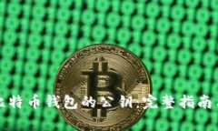 如何轻松查看比特币钱包的公钥：完整指南与常