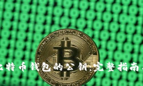 如何轻松查看比特币钱包的公钥：完整指南与常见问题解答