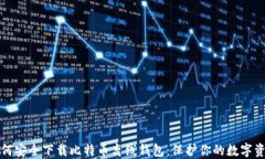 如何安全下载比特币离线钱包：保护你的数字资
