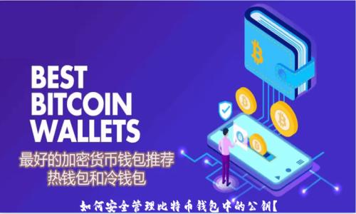 
如何安全管理比特币钱包中的公钥？
