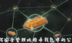 如何安全管理比特币钱包
