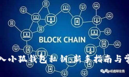 如何正确导入小狐钱包私钥：新手指南与常见问题解析