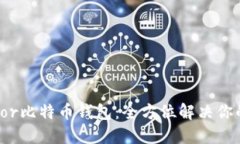 如何选择和使用Tor比特币钱包：全方位解决你的