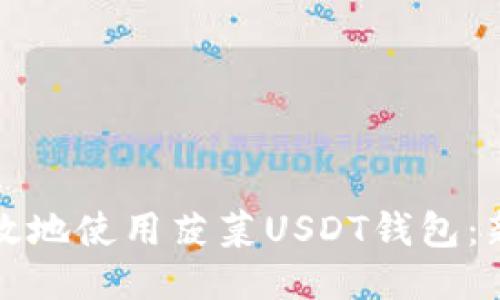 如何安全高效地使用菠菜USDT钱包：新手必看指南