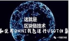 如何选择和使用OMNI钱包进