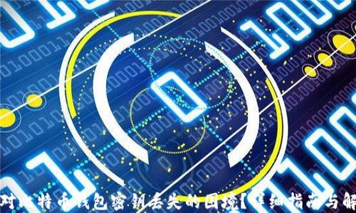 
如何应对比特币钱包密钥丢失的困境？详细指南与解决方案