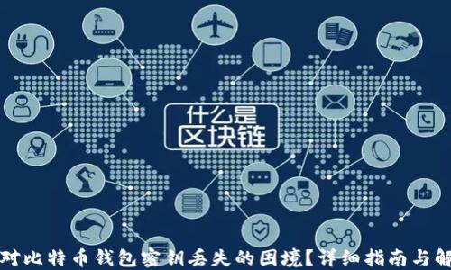 
如何应对比特币钱包密钥丢失的困境？详细指南与解决方案