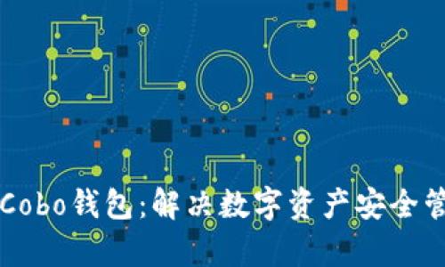 深入了解Cobo钱包：解决数字资产安全管理的痛点