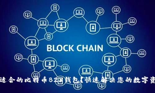 如何选择最适合的比特币B2X钱包？快速解决您的数字资产安全痛点