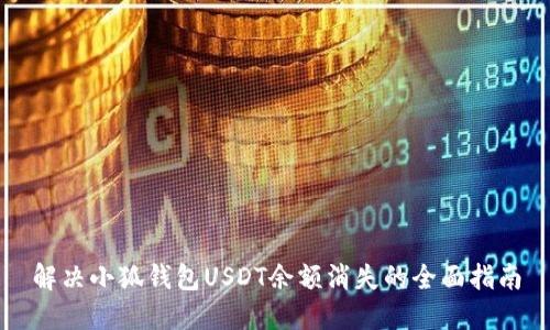 解决小狐钱包USDT余额消失的全面指南