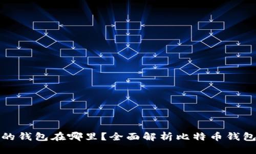 一般存比特币的钱包在哪里？全面解析比特币钱包种类及安全性