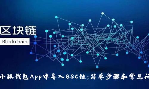 如何在小狐钱包App中导入BSC链：简单步骤和常见问题解答