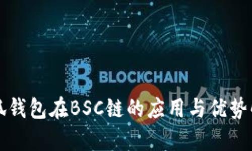 小狐钱包在BSC链的应用与优势解析