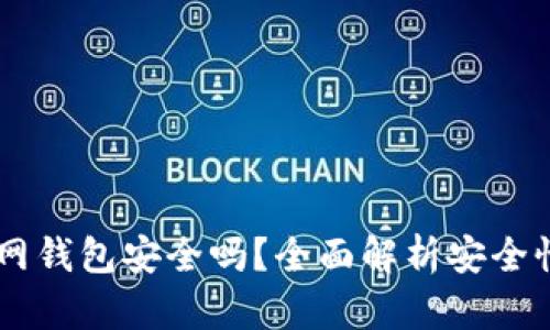 USDT官网钱包安全吗？全面解析安全性与风险