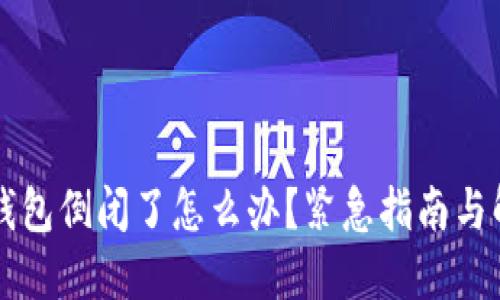 区块链钱包倒闭了怎么办？紧急指南与解决方案