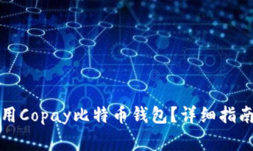 如何安全使用Copay比特币钱包？详细指南与注意事项