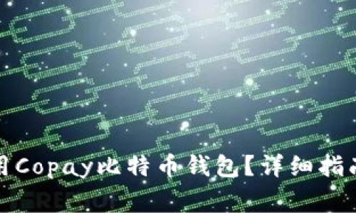 如何安全使用Copay比特币钱包？详细指南与注意事项