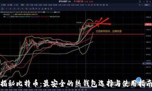   
揭秘比特币：最安全的热钱包选择与使用指南