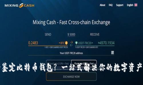 如何安全鉴定比特币钱包? 一站式解决你的数字资产保护问题