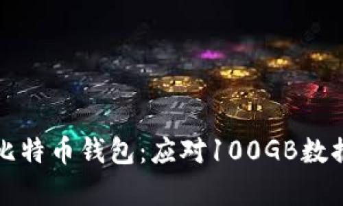 如何你的比特币钱包：应对100GB数据存储挑战